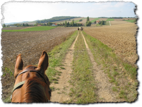 Wanderritt durch das Weinviertel